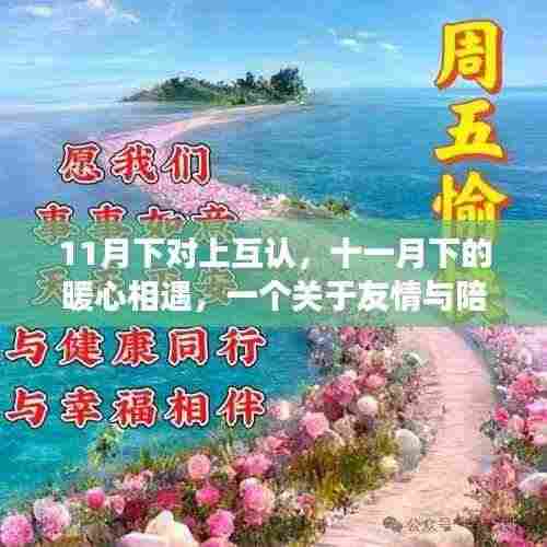 暖心相遇,11月的友情与陪伴故事