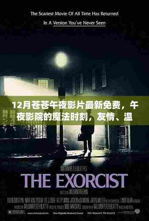 午夜影院的魔法时刻,友情、温馨与家的故事免费观看最新影片