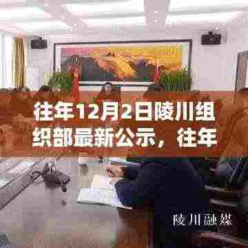 往年12月2日陵川组织部公示,多维度审视与观点阐述