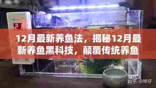 揭秘,最新养鱼黑科技,颠覆传统养鱼体验——12月最新养鱼法解析!