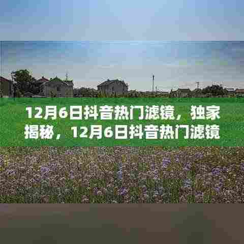 独家揭秘,12月6日抖音热门滤镜,瞬间惊艳全网的美丽秘籍!