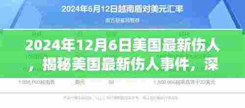 揭秘美国最新伤人事件,深度解读与探讨(发生在2024年12月6日)