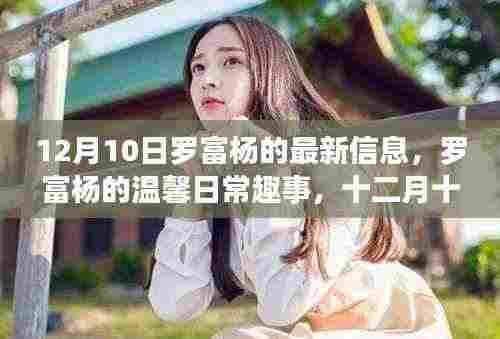 罗富杨的温馨日常趣事与特殊惊喜,友情的力量在十二月十日闪耀