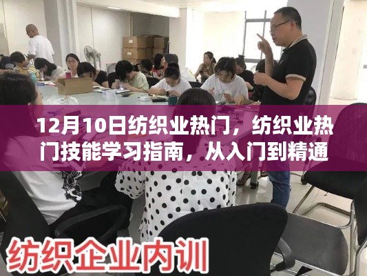 12月10日纺织业热门技能学习指南,从入门到精通,初学者与进阶用户必读指南