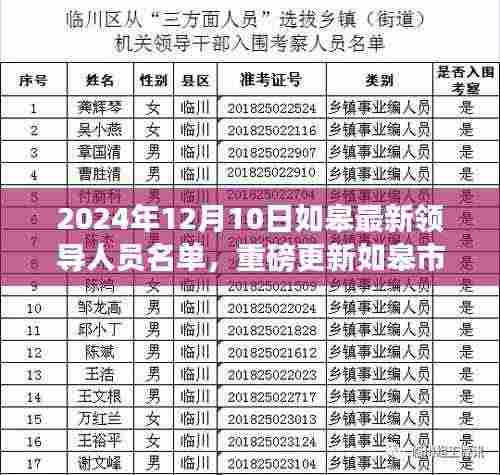 2024年如皋市领导团队全新亮相,引领智能变革风潮的科技领航者