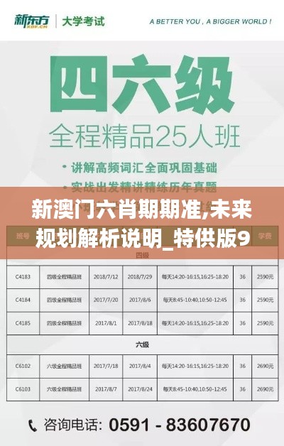 新澳门六肖期期准,未来规划解析说明_特供版9.714