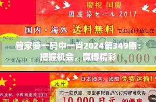 管家婆一码中一肖2024第349期:把握机会,赢得精彩