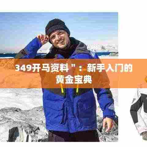 349开马资料＂：新手入门的黄金宝典