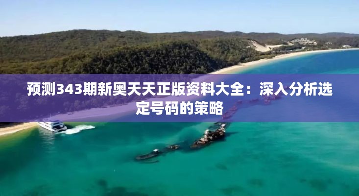 预测343期新奥天天正版资料大全:深入分析选定号码的策略