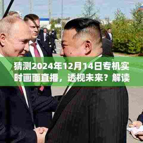 透视未来,解读专机实时画面直播的机遇与挑战,展望2024年直播新纪元