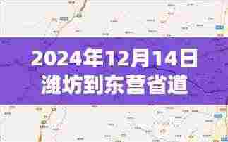 探秘潍坊至东营省道，路况速递与小巷独特风情纪实（实时更新）