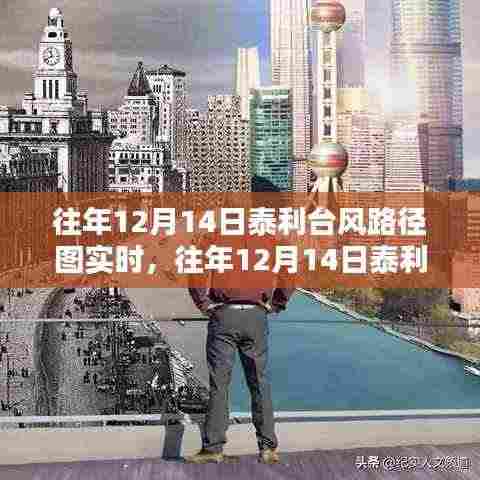 深度解析与经验分享,历年12月14日泰利台风路径实时图解析及分享经验