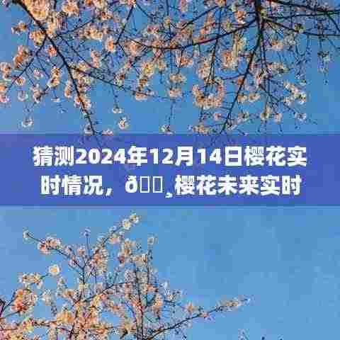 科技与浪漫交织,探索预测樱花盛开实况,预见未来樱花浪漫盛景——2024年樱花探秘之旅