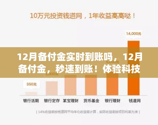 12月备付金实时到账体验,秒速到账,感受金融科技的革新力量