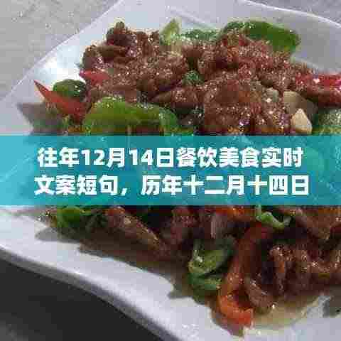 历年十二月十四日餐饮美食回顾,味觉盛宴的盛况与影响,短句精选回顾