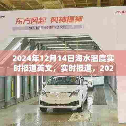 全球海域海水温度实时报道与分析,2024年12月14日报告