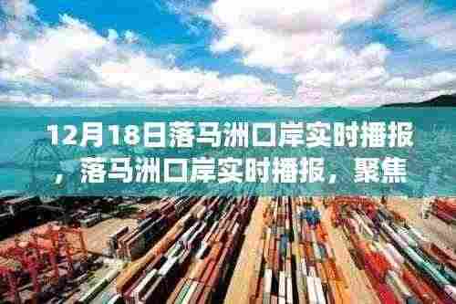 落马洲口岸最新实时播报,跨境交通与区域发展深度解析