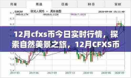 12月CFXS币行情下的自然探索与心灵之旅,实时行情及内心宁静的追寻