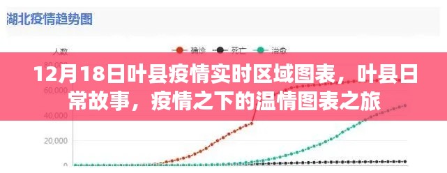叶县疫情实时区域图表,疫情之下的温情故事与图表之旅