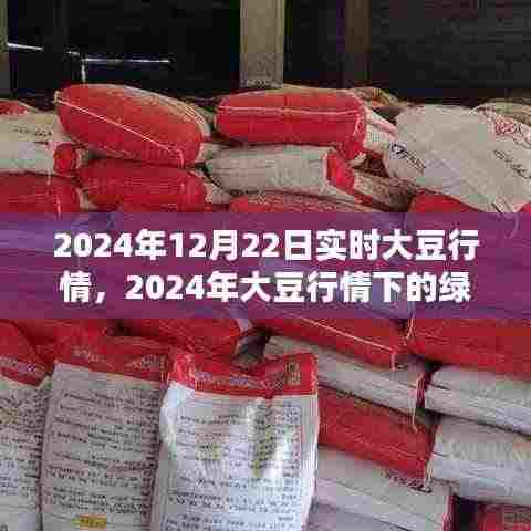 探寻内心宁静与自然微笑,2024年大豆行情下的绿色探险之旅