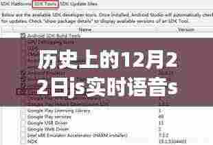 JS实时语音SDK重塑语音交互,科技之光照亮12月22日
