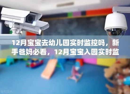 12月宝宝入园实时监控操作指南,新手爸妈必看的实时监控指南