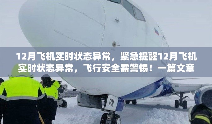 揭秘飞机实时状态异常背后的真相,飞行安全需警惕!