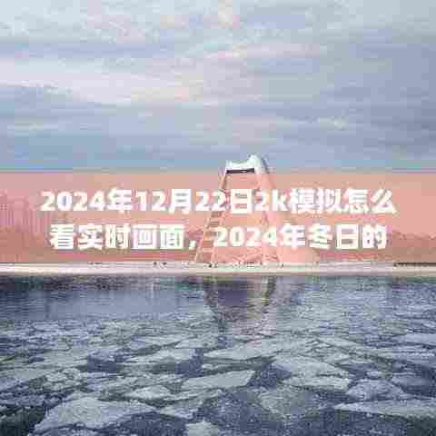 2024年模拟游戏时光,探索实时画面与冬日奇妙之旅