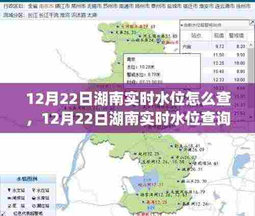 鸟入樊笼 第4页