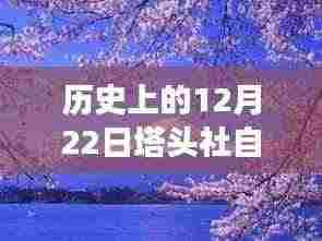 温馨探秘之旅,历史上的塔头社冬日自由行攻略(12月22日)