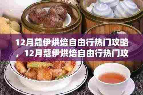 独家揭秘,12月蔻伊烘焙自由行终极攻略,深度评测与详细介绍