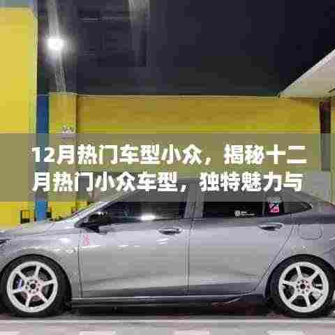 揭秘十二月热门小众车型的独特魅力和趋势洞察