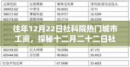 探秘社科院热门城市工资背后的故事，小巷特色小店奇遇记与年末工资观察