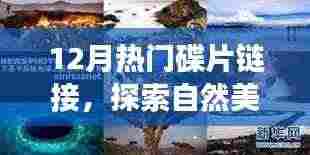 十二月热门碟片,自然美景之旅,探索内心宁静与喜悦的奇妙旅程