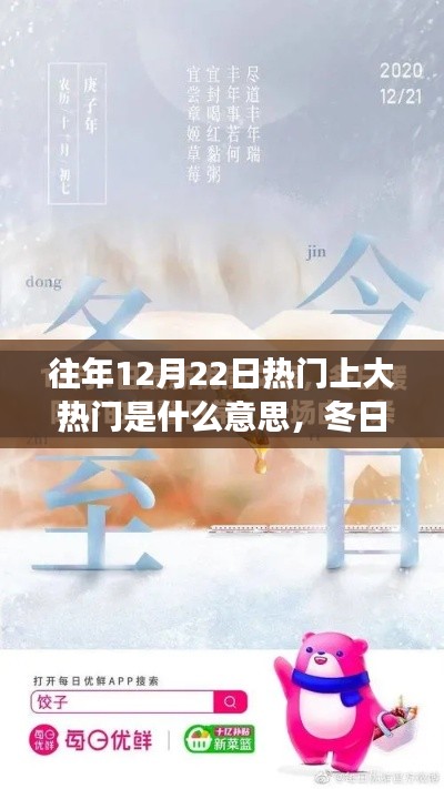 冬日暖阳下的奇缘,揭秘热门事件背后的温情故事