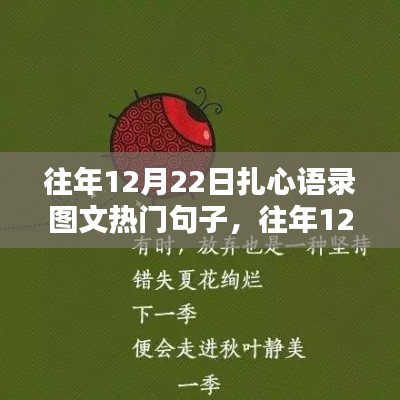 往年12月22日扎心语录图文热门句子深度解析与介绍