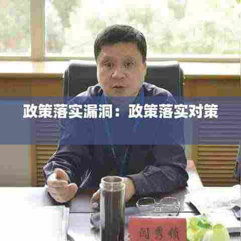 政策落实漏洞:政策落实对策