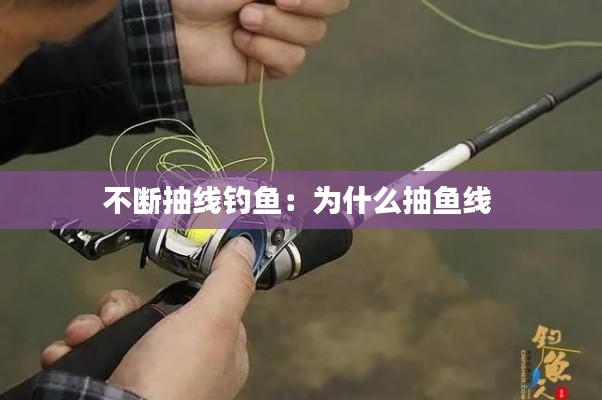 不断抽线钓鱼：为什么抽鱼线 