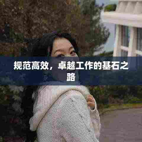 规范高效,卓越工作的基石之路