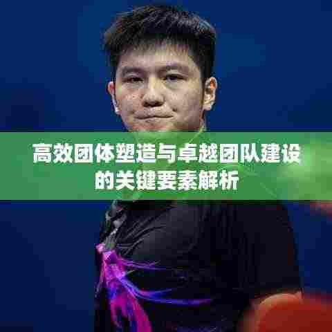 高效团体塑造与卓越团队建设的关键要素解析