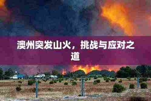 澳州突发山火,挑战与应对之道