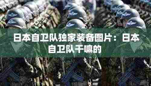 夯雀儿先飞 第3页