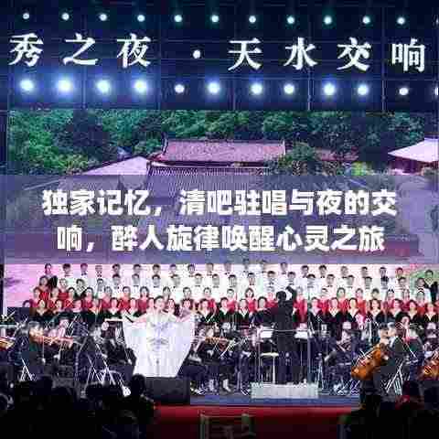 独家记忆，清吧驻唱与夜的交响，醉人旋律唤醒心灵之旅