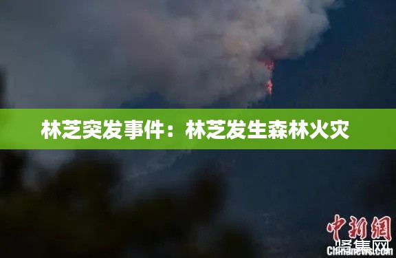 林芝突发事件:林芝发生森林火灾