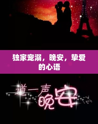 独家宠溺,晚安,挚爱的心语