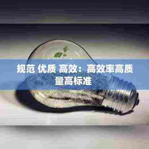规范 优质 高效：高效率高质量高标准 
