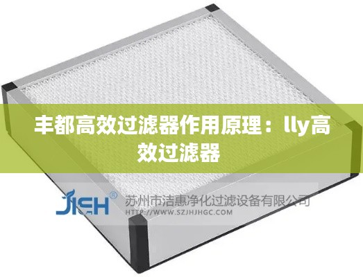 丰都高效过滤器作用原理:lly高效过滤器