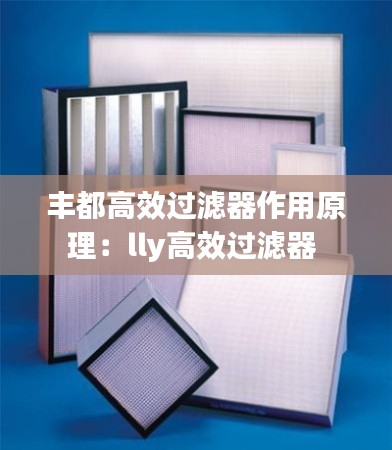 丰都高效过滤器作用原理:lly高效过滤器