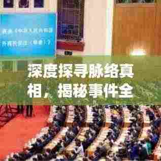 深度探寻脉络真相,揭秘事件全貌的完整报道