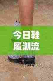 今日鞋履潮流最新动态速递